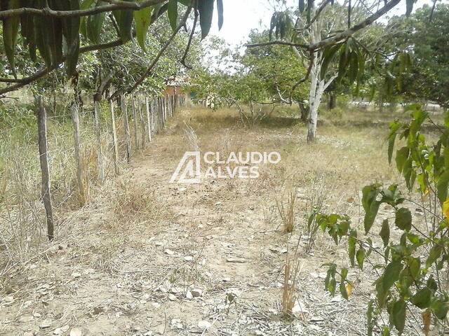 TERRENO para Compra em Feira de Santana - 4