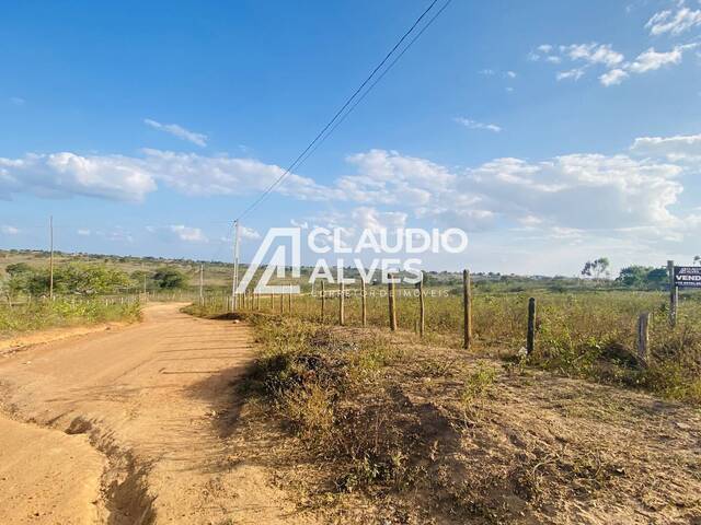 TERRENO para Compra em Santanópolis - 5