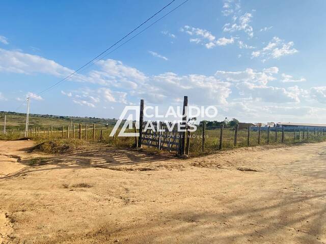 #5999 - TERRENO para Compra em Santanópolis - BA - 3