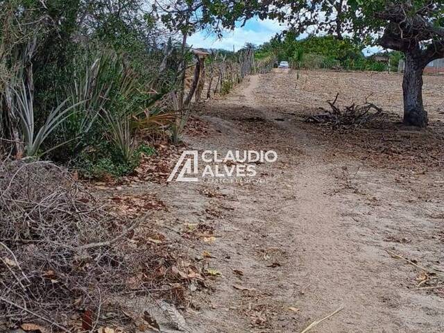 CHÁCARA E SÍTIO para Compra em Santa Bárbara - 3