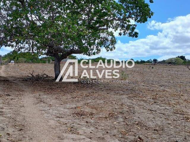 CHÁCARA E SÍTIO para Compra em Santa Bárbara - 4