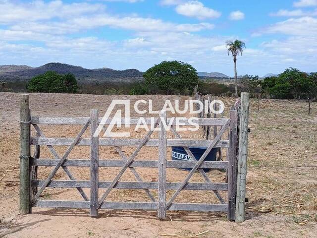 CHÁCARA E SÍTIO para Compra em Santa Bárbara - 2