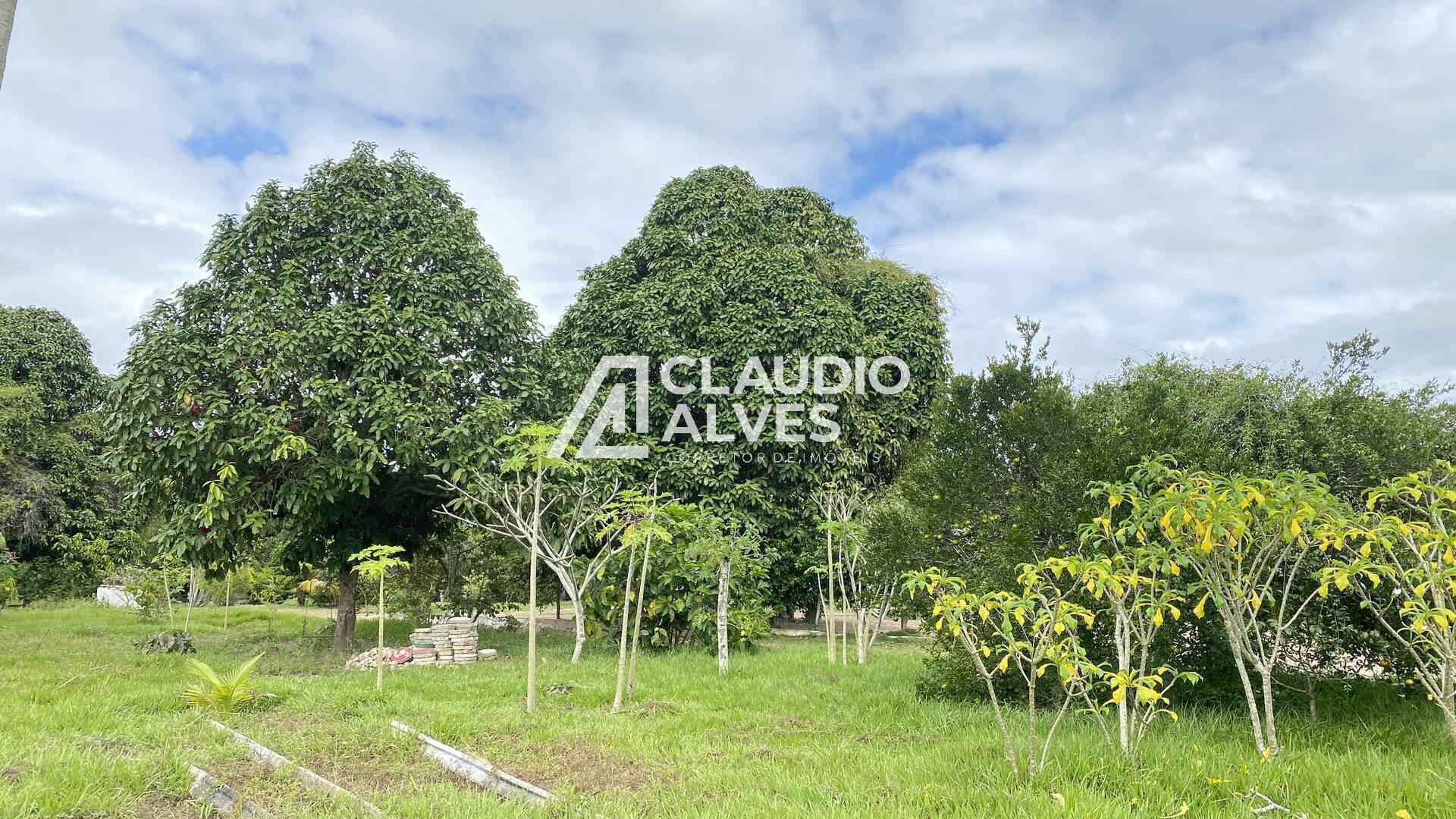 Terreno à venda, 15000m² - Foto 1