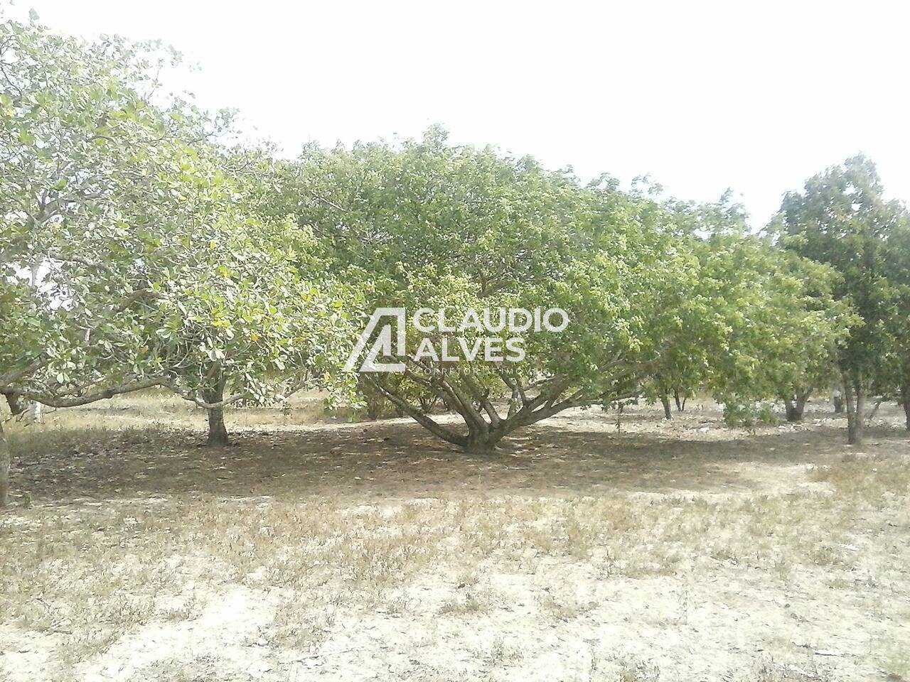 Terreno à venda, 17300m² - Foto 13