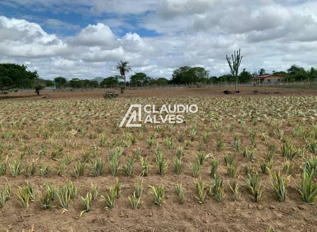 Fazenda à venda com 2 quartos - Foto 2