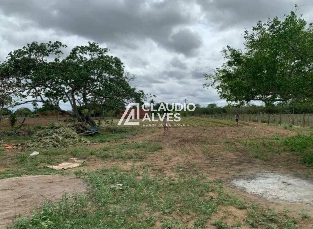 Fazenda à venda com 2 quartos - Foto 3