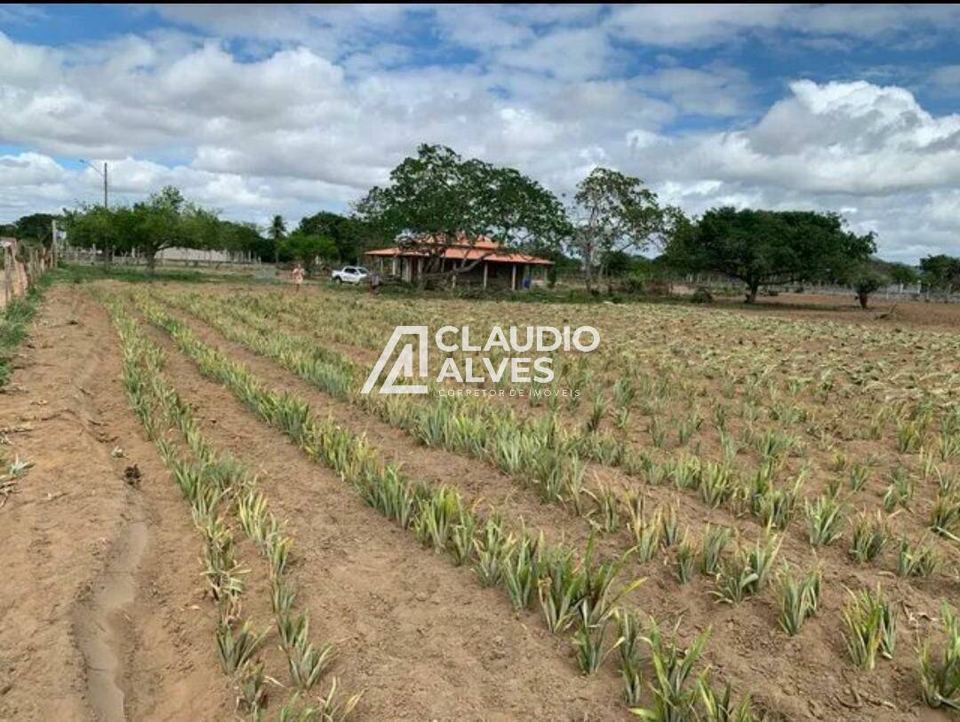 Fazenda à venda com 2 quartos - Foto 4