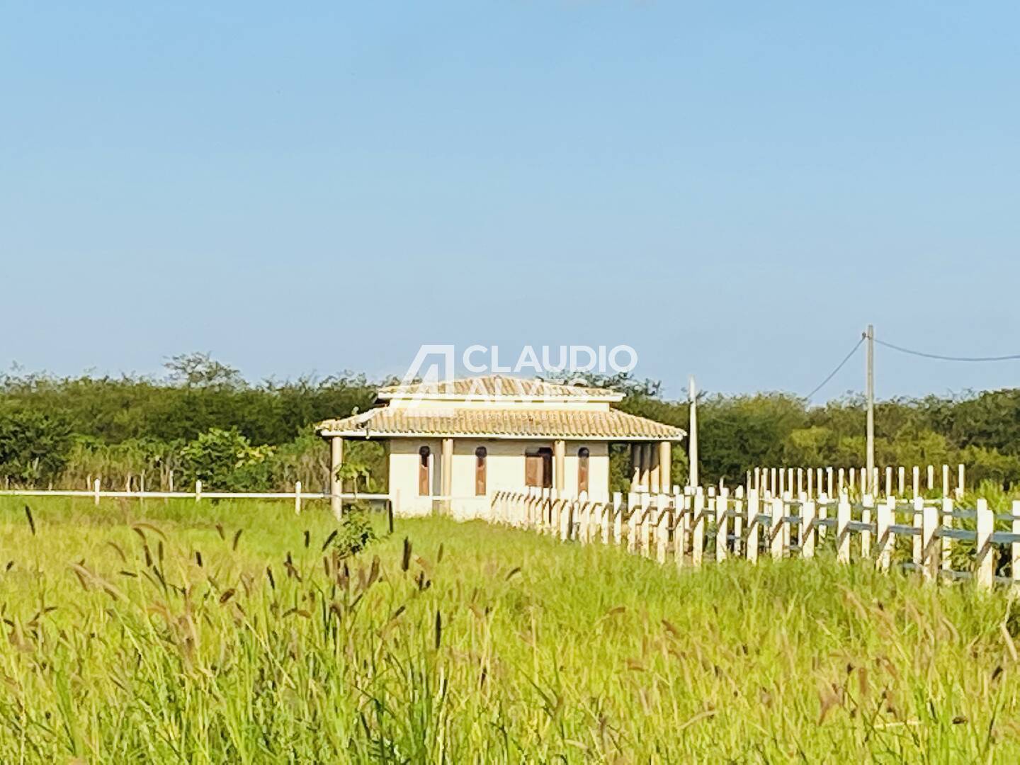 Fazenda à venda com 3 quartos - Foto 3